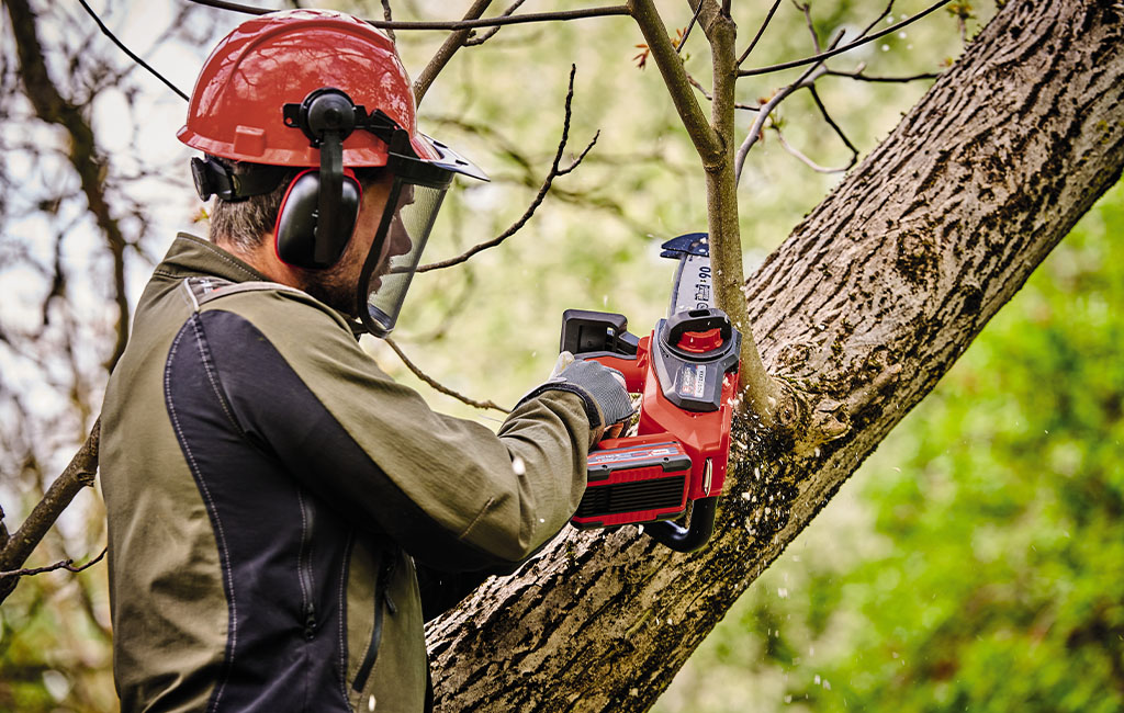 Man wearing a protective forestry helmet sawing off the branch of a tree with a cordless chainsaw.